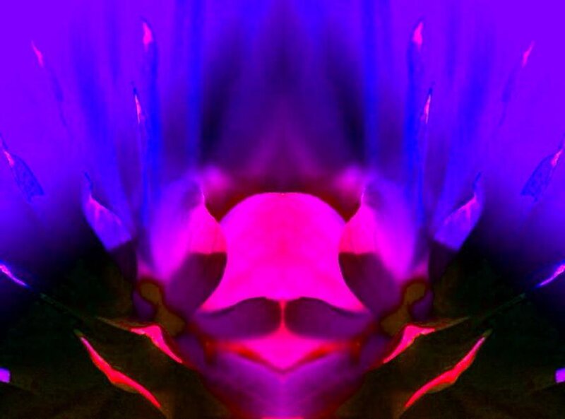 abstract purple and pink light pattern