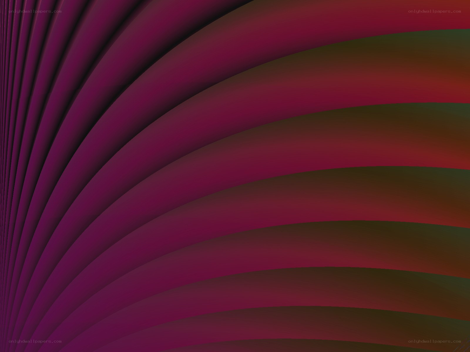 abstract purple and red curves