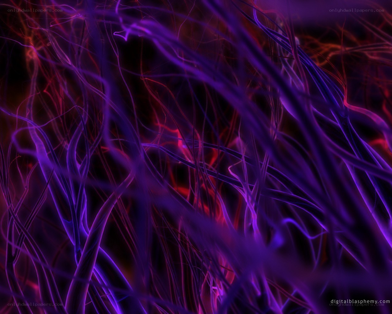 Abstract purple and red fiber network
