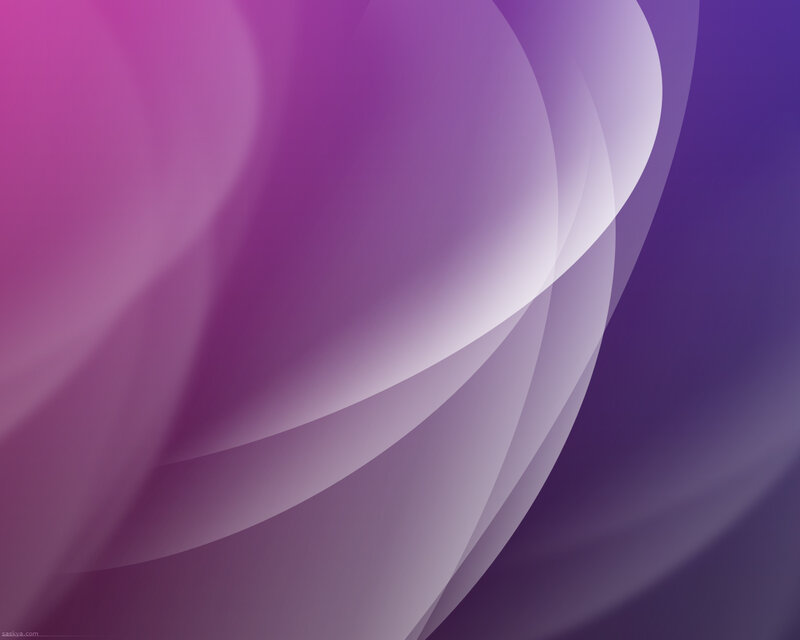 Abstract Purple Curves — Calm