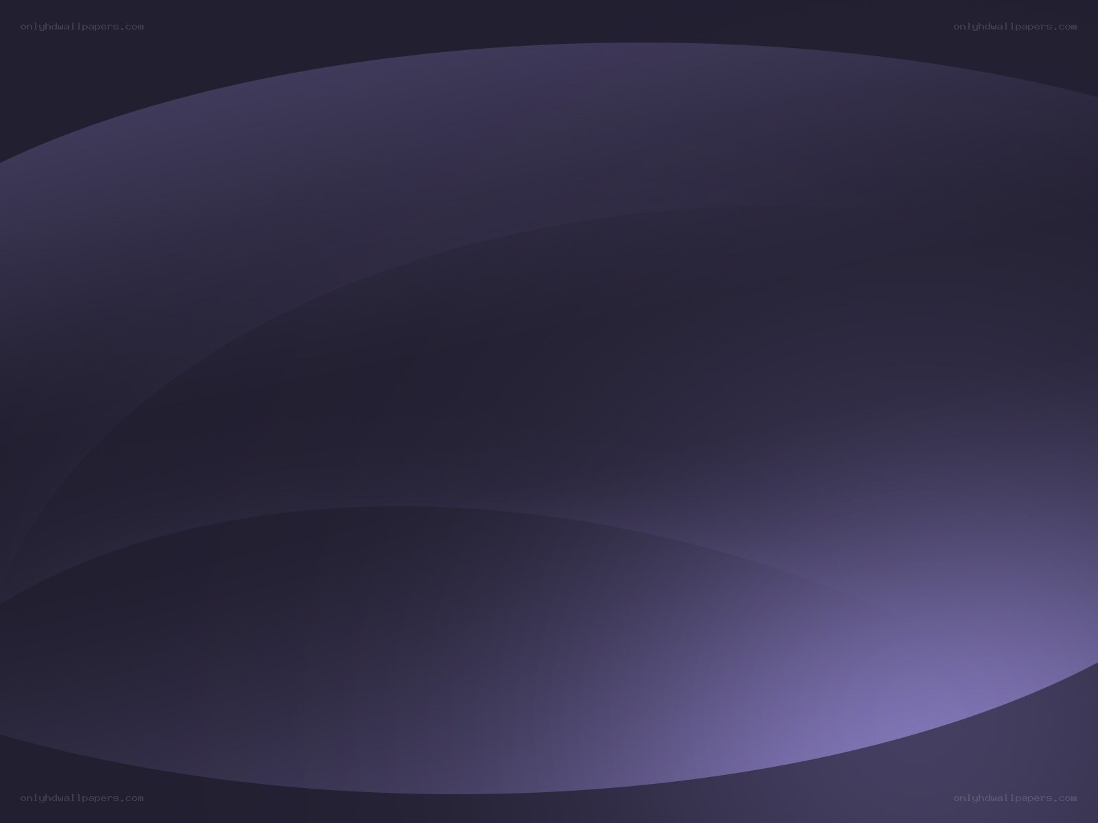 abstract purple curves