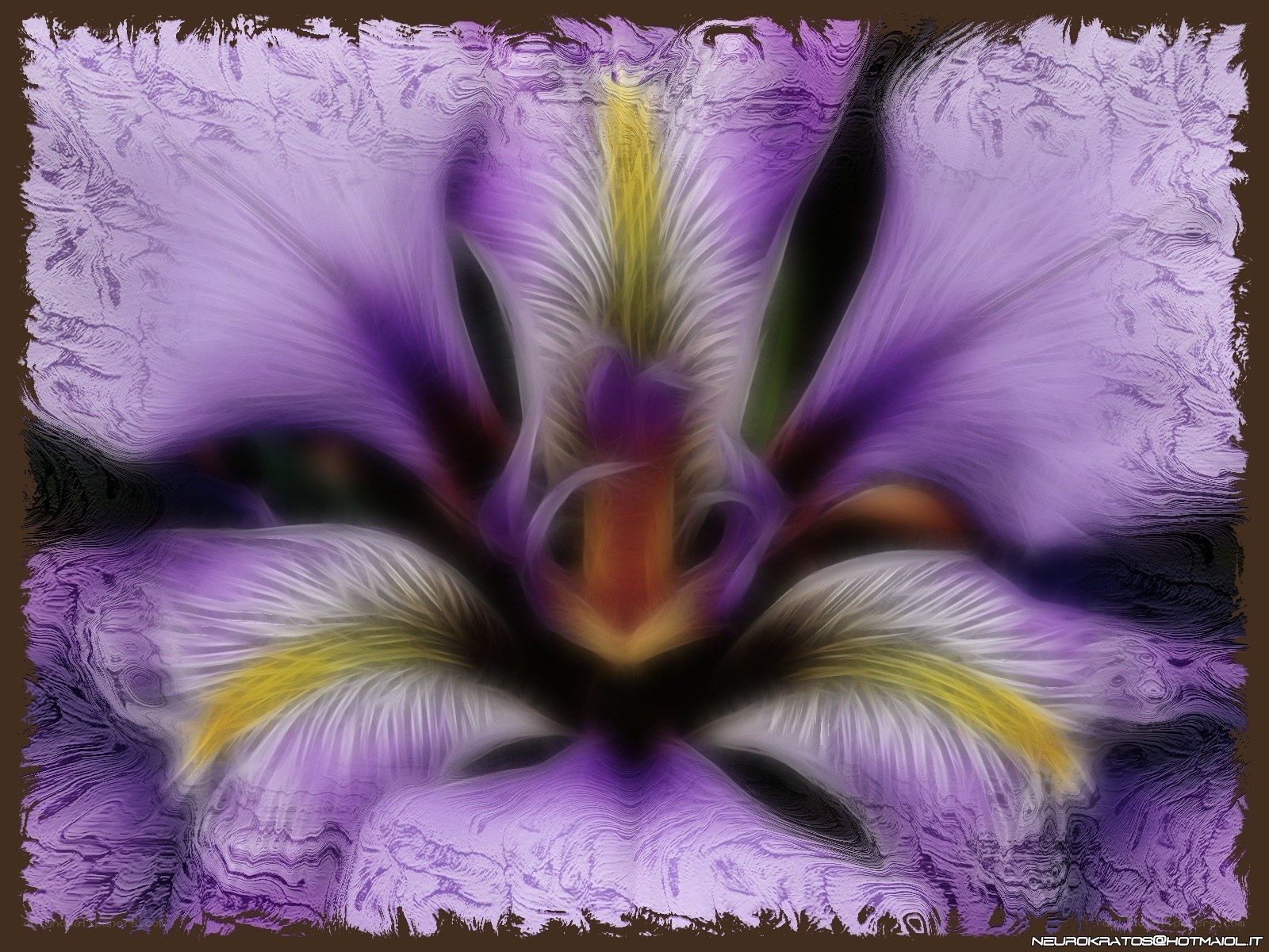 abstract purple flower art
