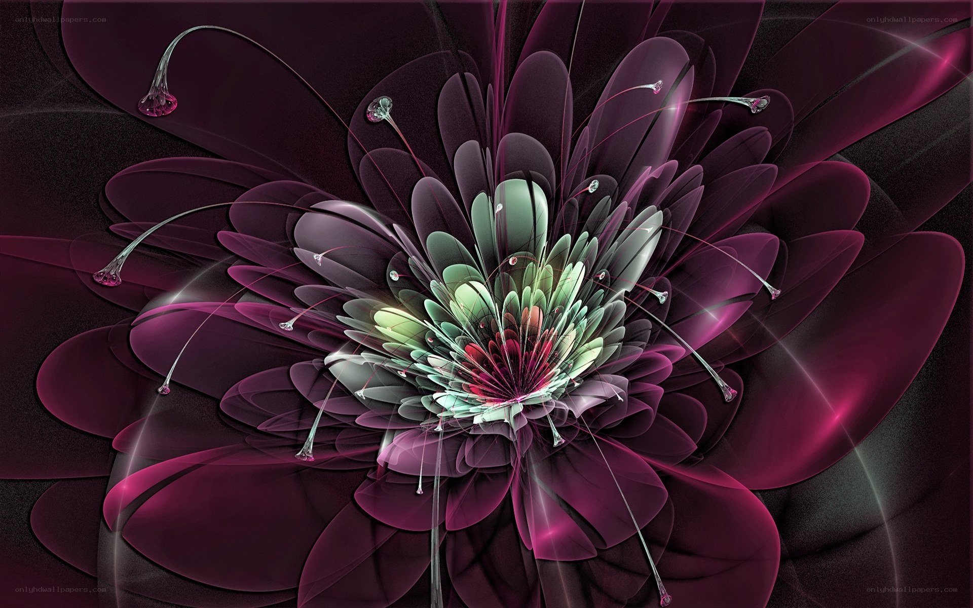 Abstract purple flower art