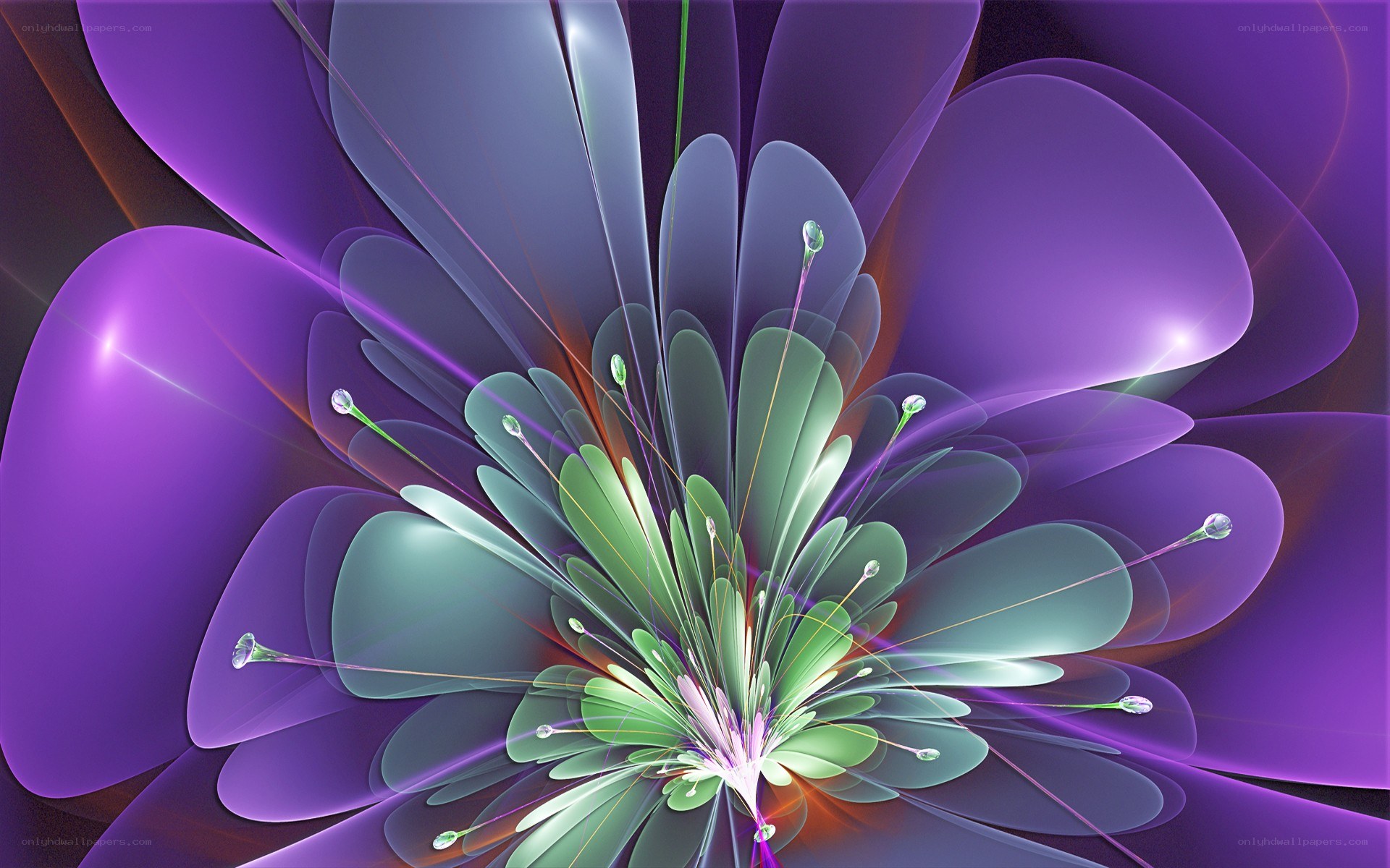 Abstract purple flower design
