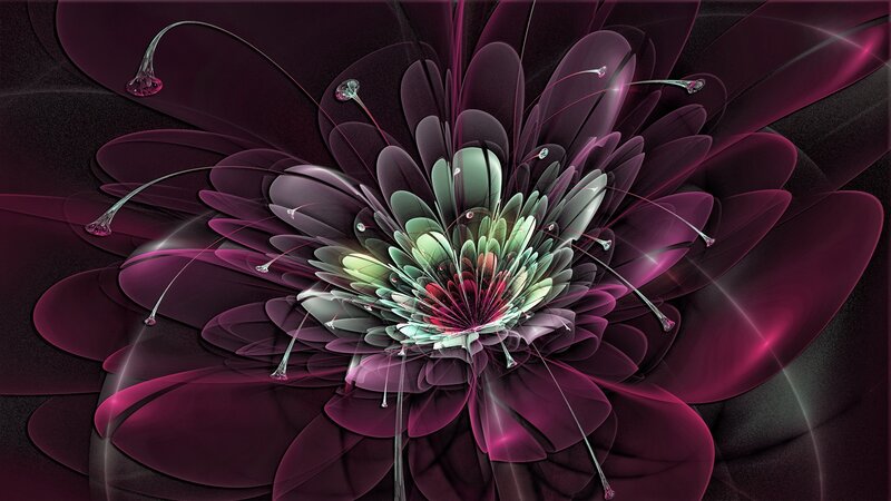Abstract Purple Flower — Dramatic