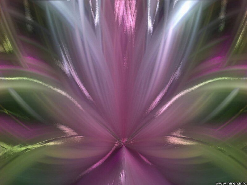 Abstract Purple Flower