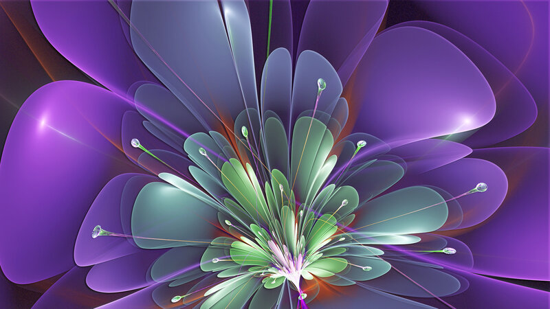 Abstract Purple Flower — Vibrant