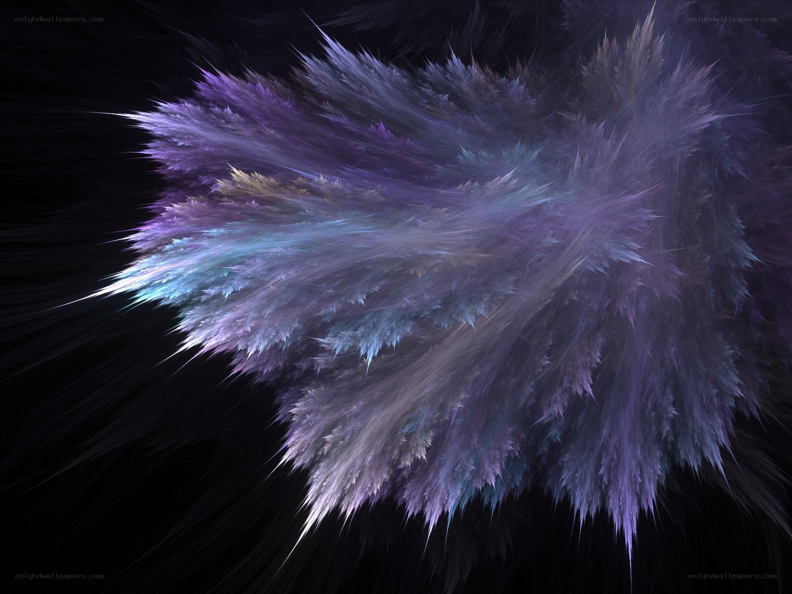 Abstract purple fractal explosion