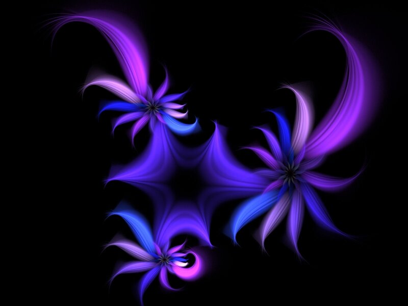 Abstract purple fractal flowers