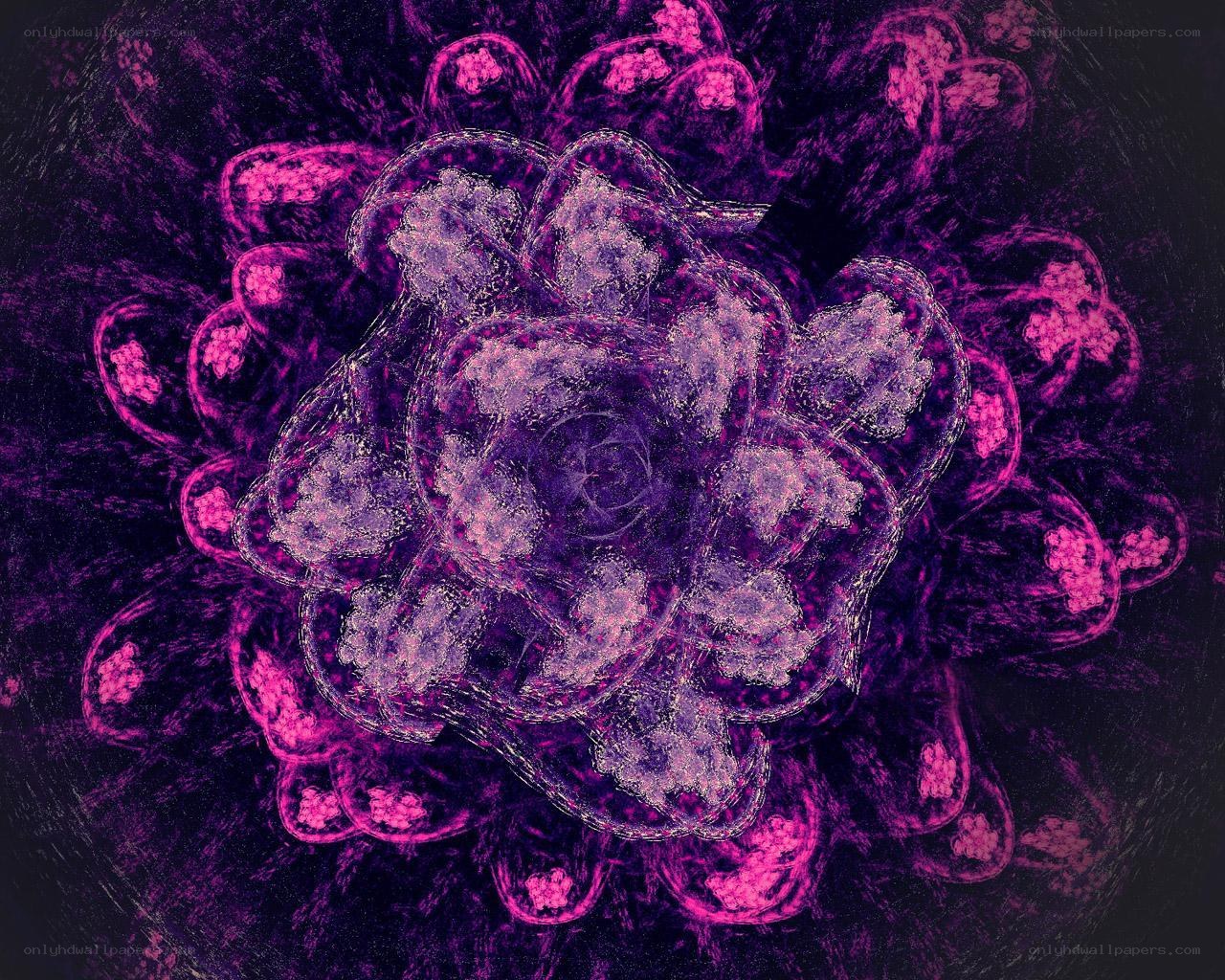 abstract purple fractal pattern