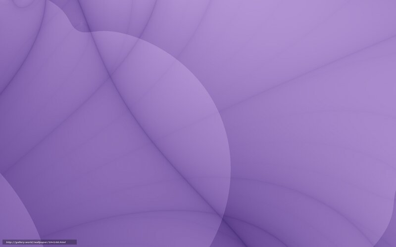 Abstract Purple Shapes — Calm, Curved Lines