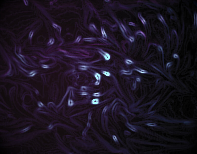 Abstract Purple Swirls — Dark, Digital Art