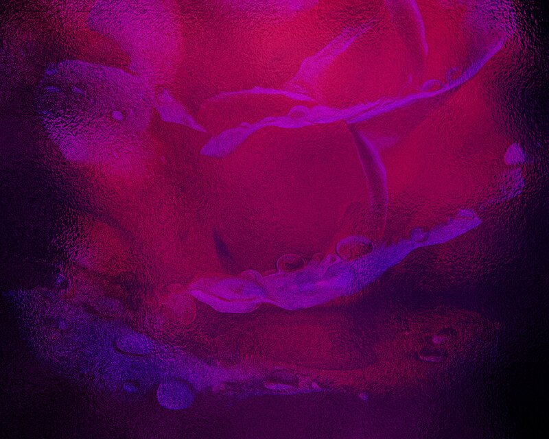 Abstract Purple Texture — Dark