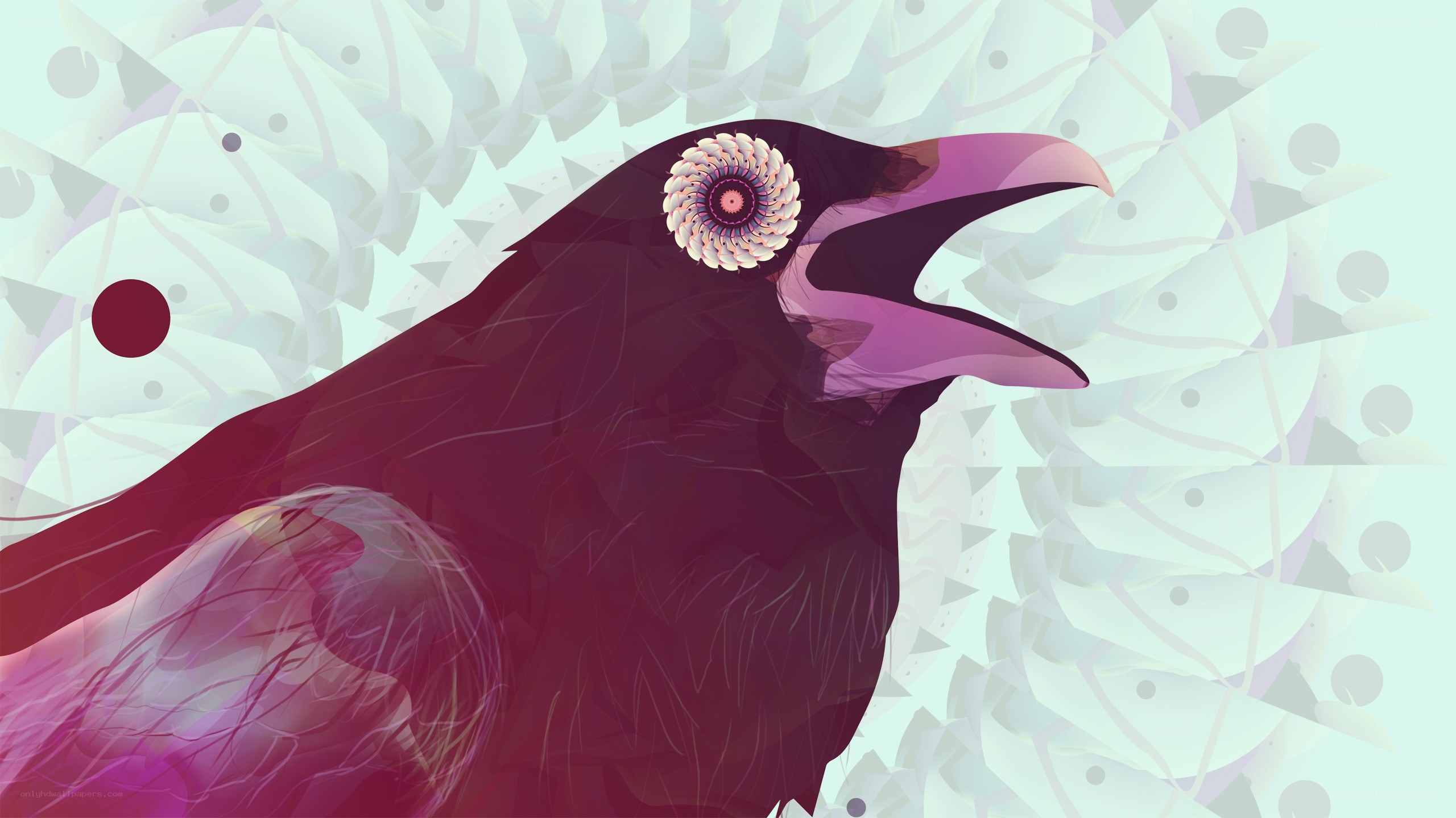 abstract raven with floral eye