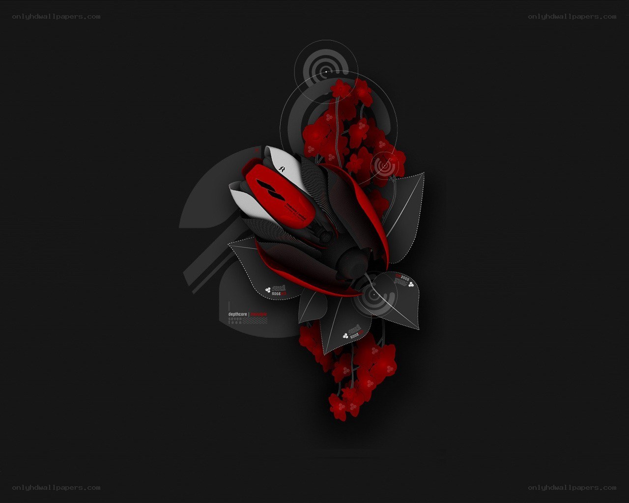 abstract red and black design