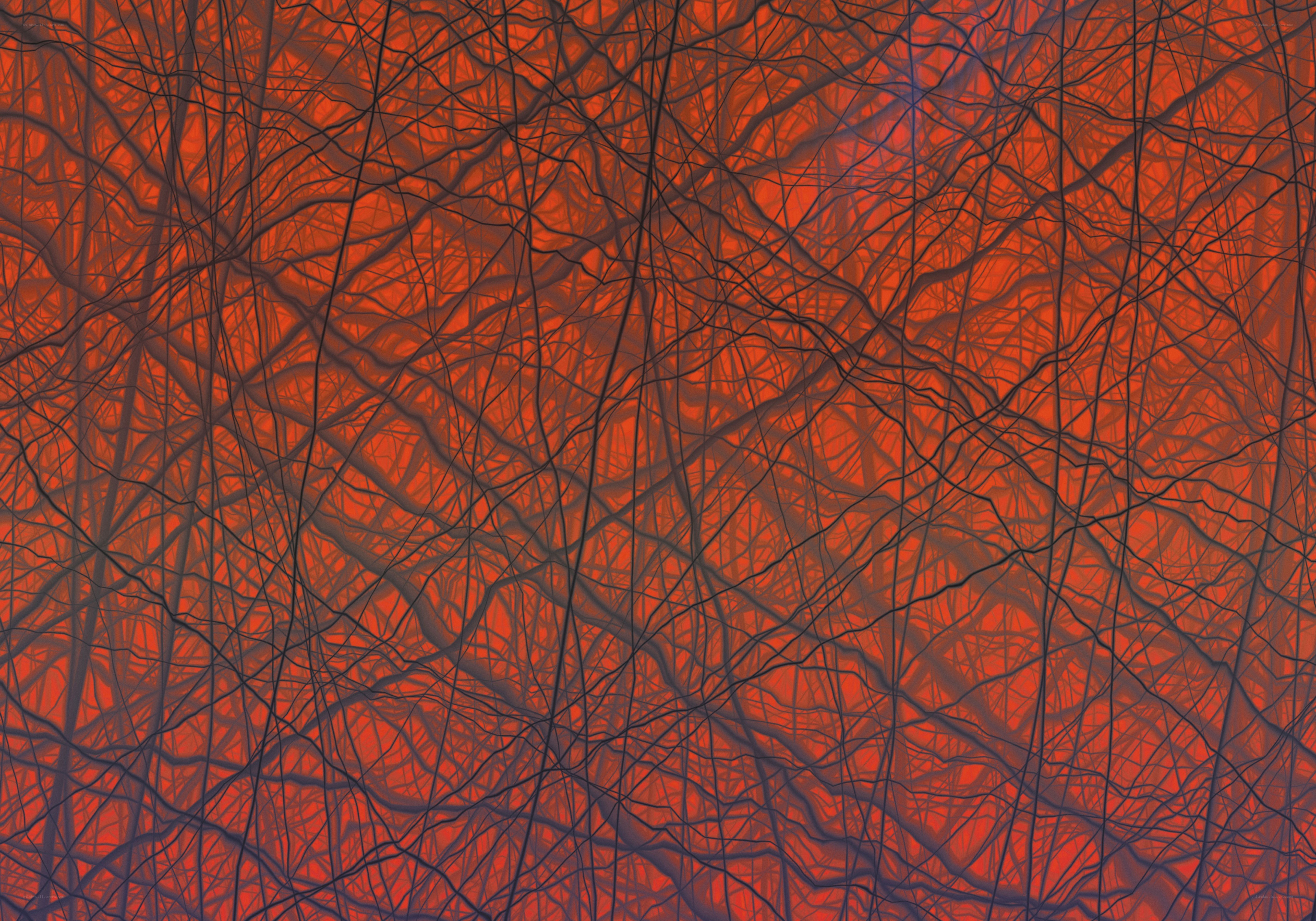 Abstract red and black network