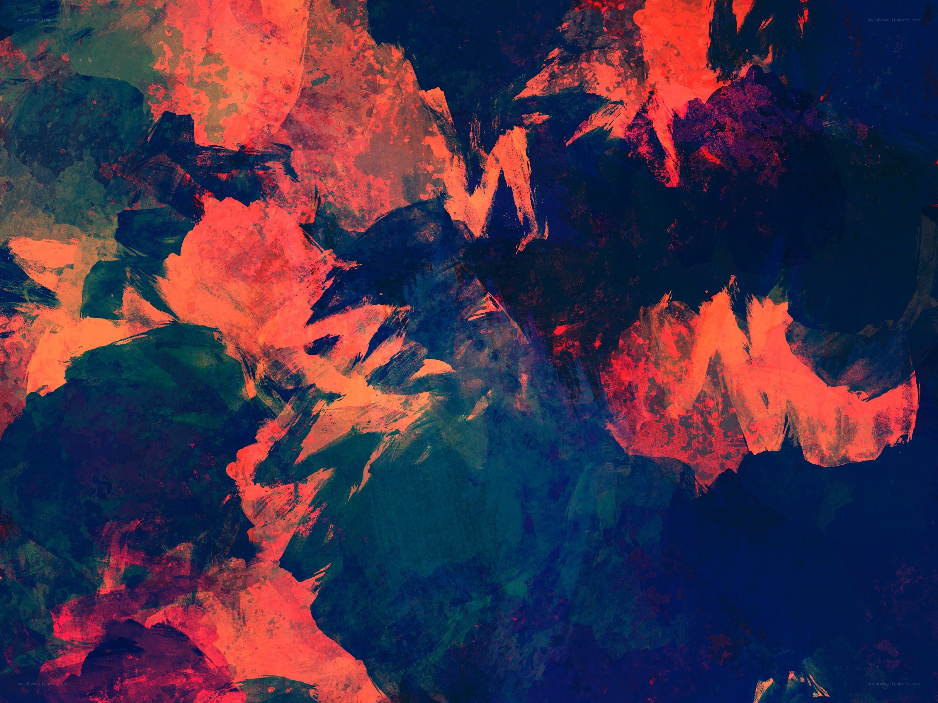 Abstract red and blue brushstrokes
