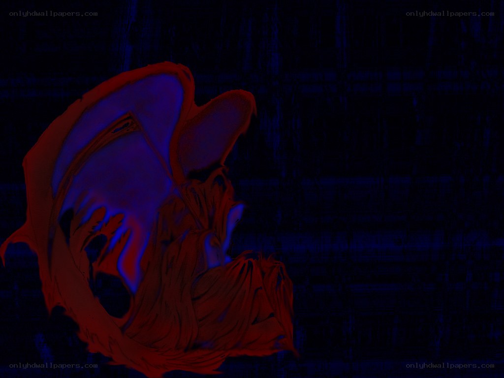 abstract red and blue form