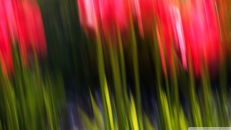 abstract red and green motion blur