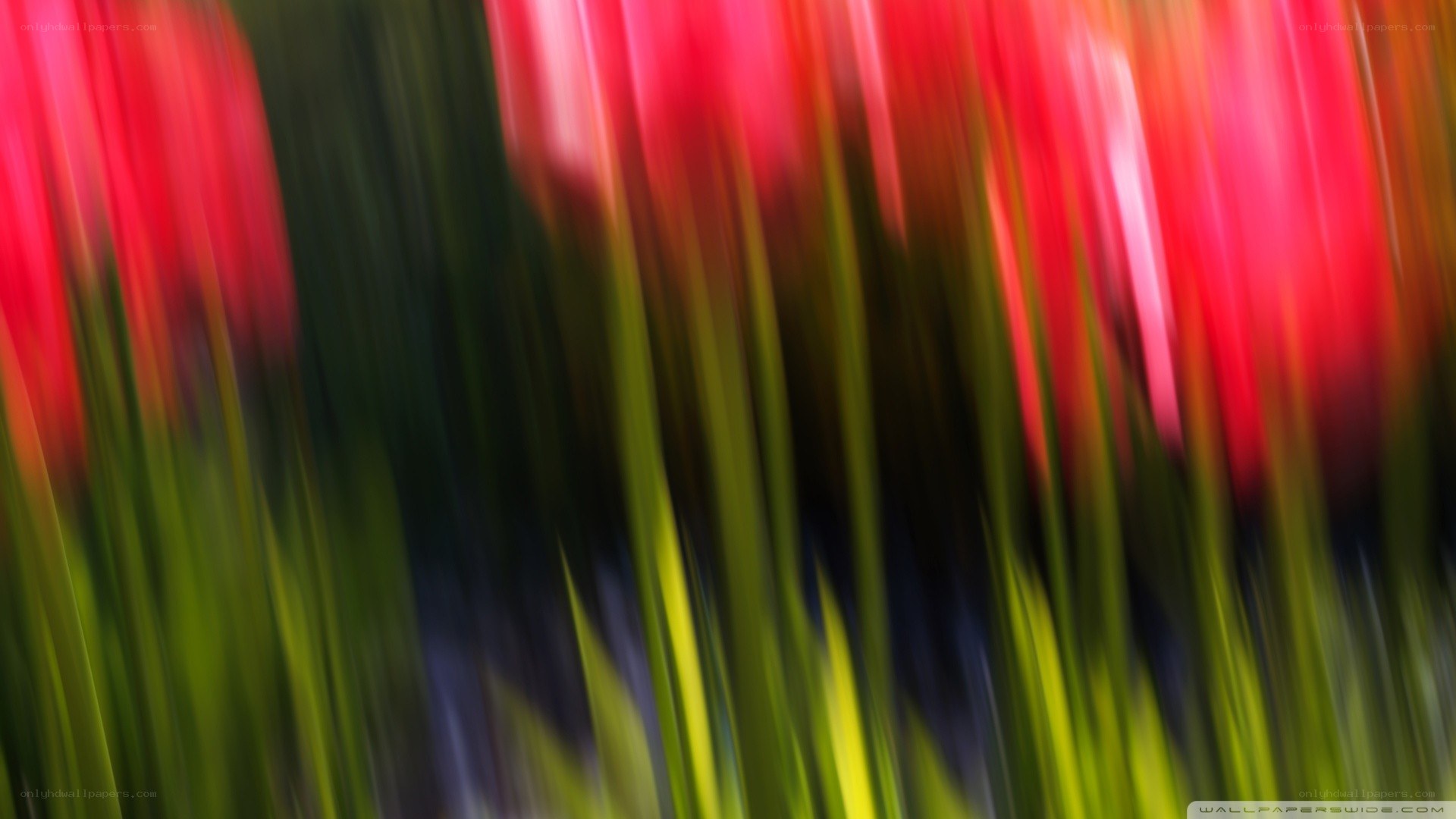 abstract red and green motion blur