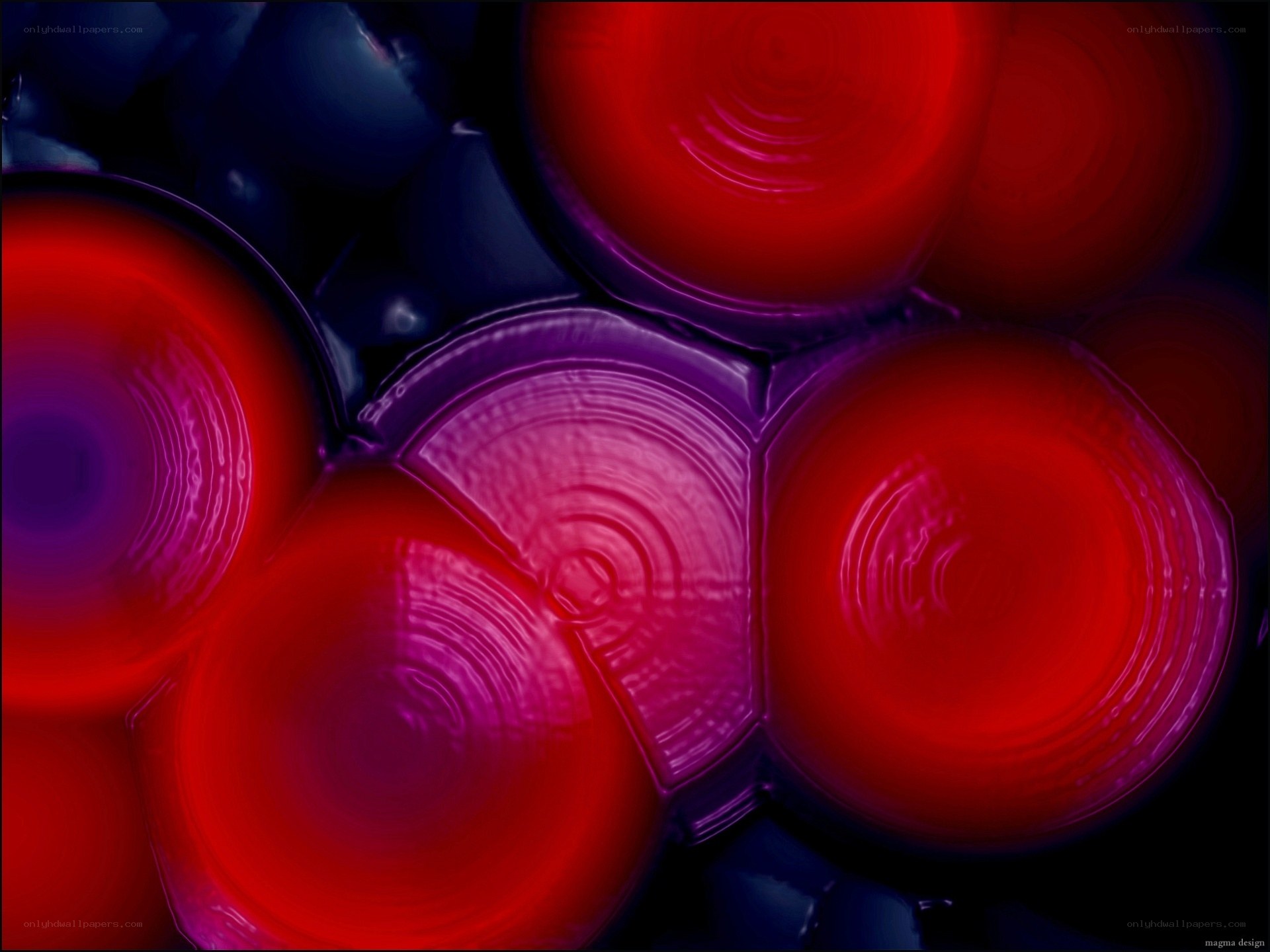 Abstract red and purple circles