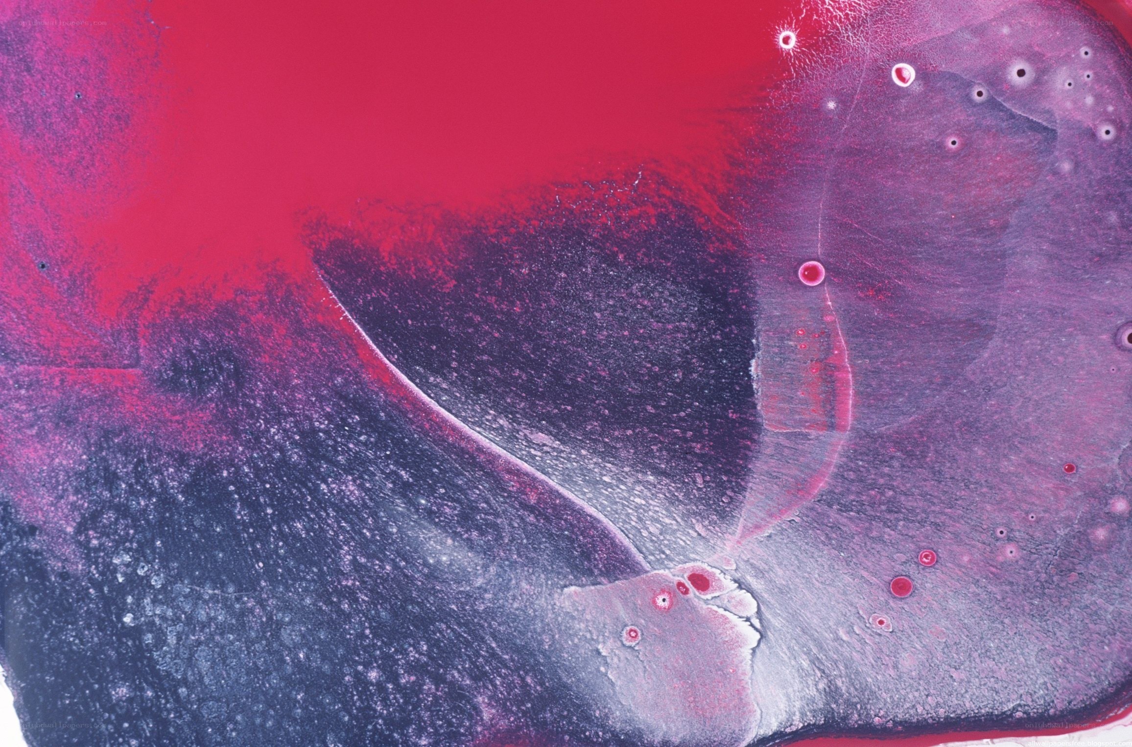 Abstract red and purple fluid pattern