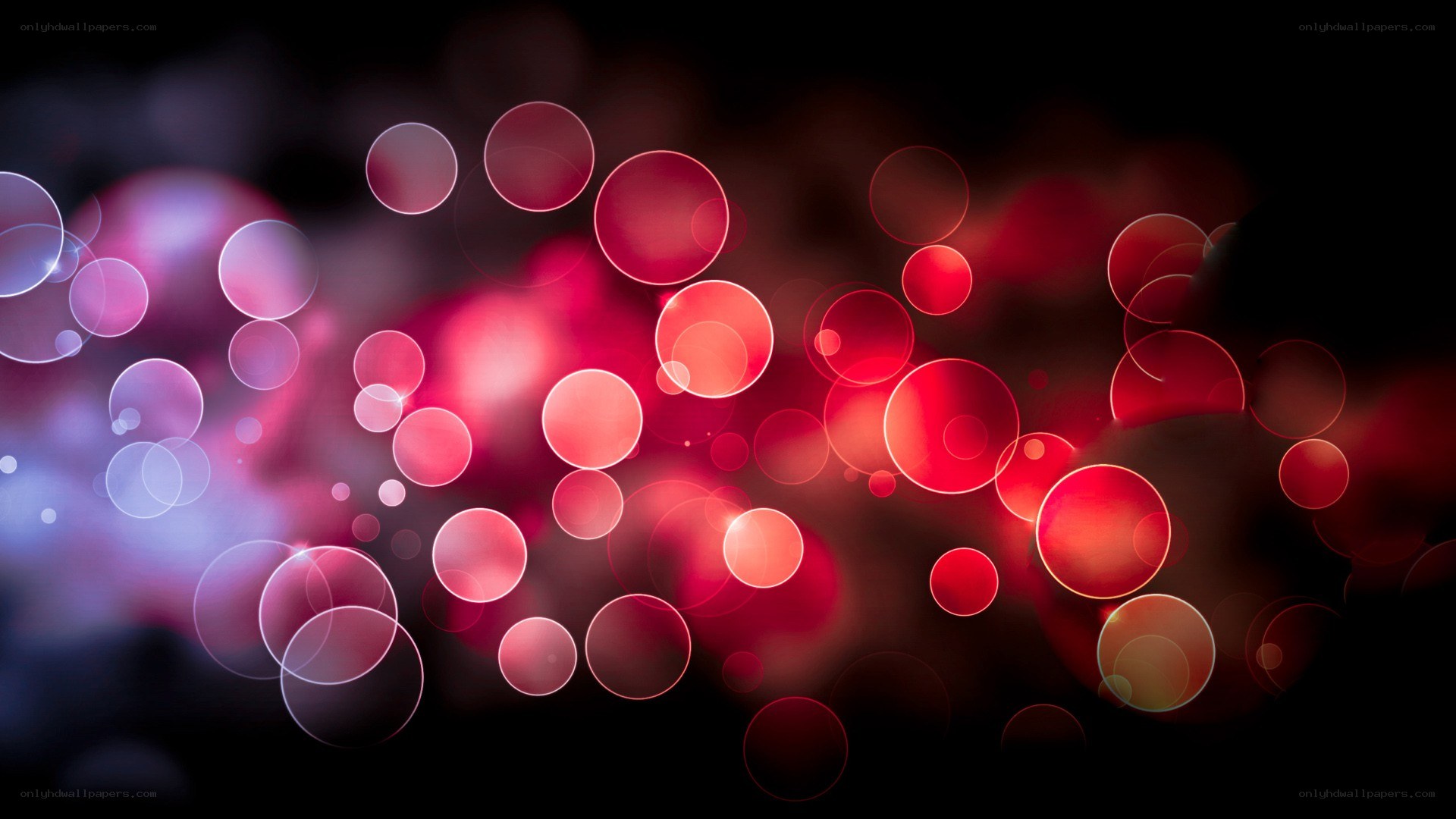 abstract red and purple lights