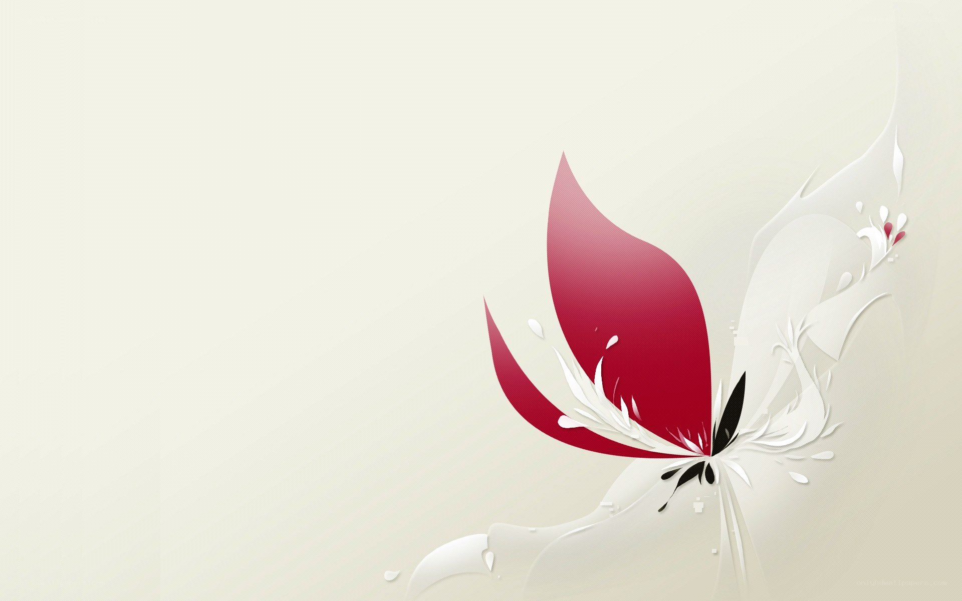 abstract red and white flower