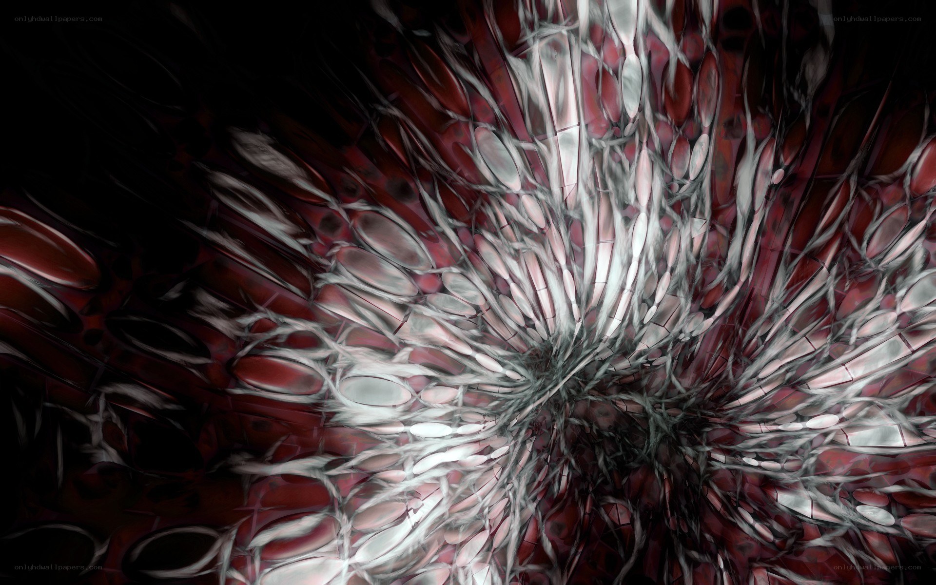 abstract red and white fractal pattern