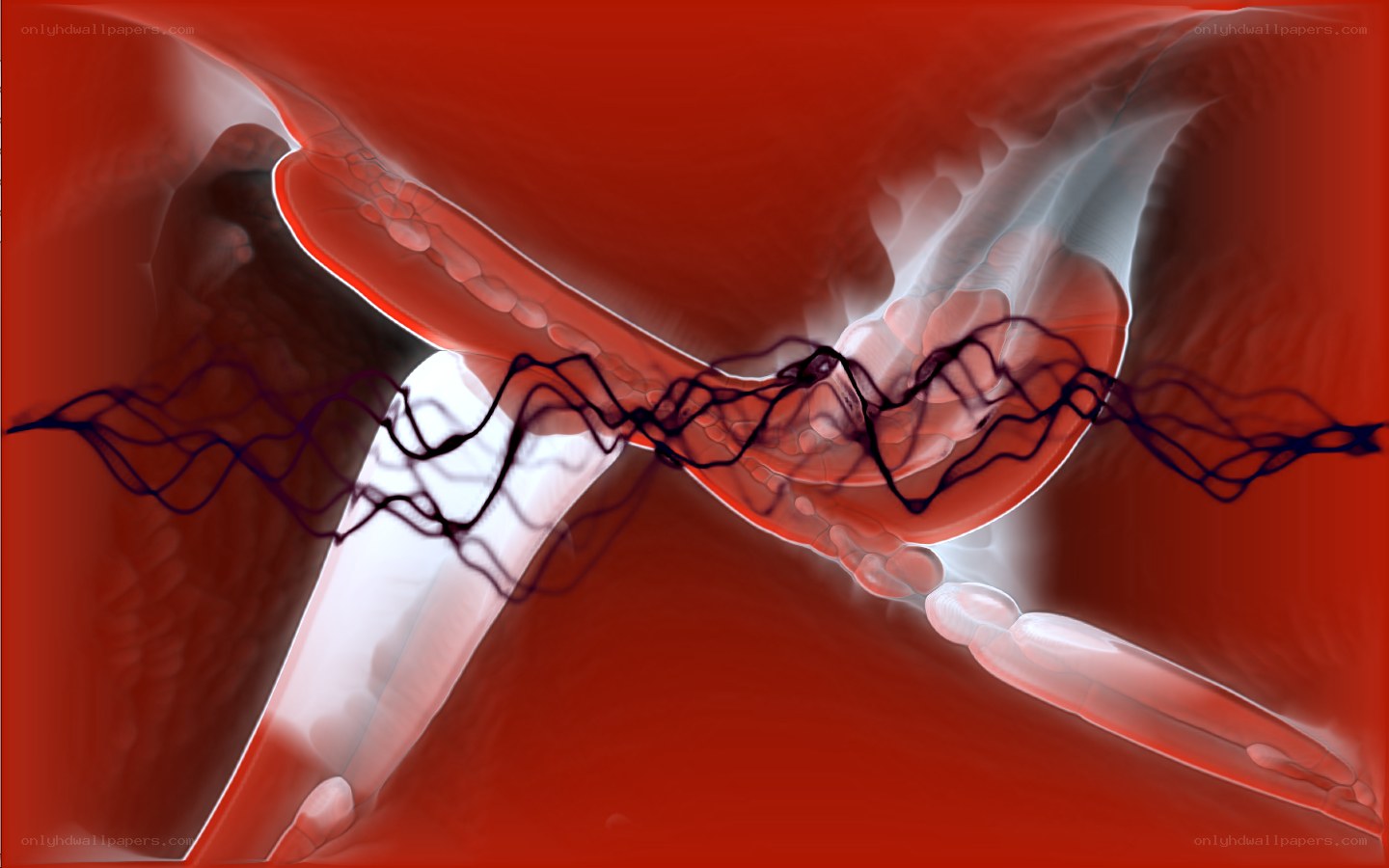 abstract red and white wave design