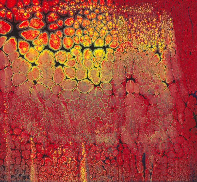 Abstract red and yellow cellular pattern