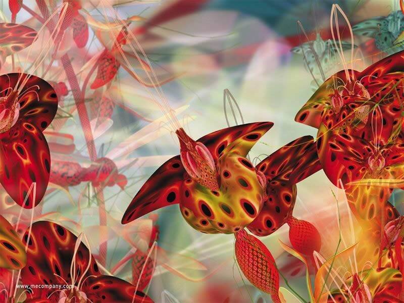 Abstract red and yellow fractal art
