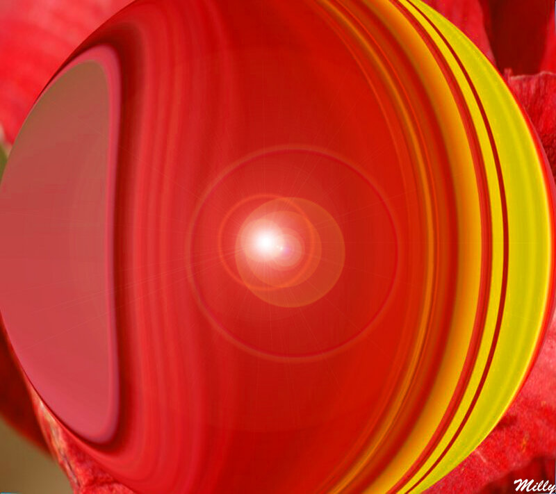 Abstract Red and Yellow Swirl — Vibrant