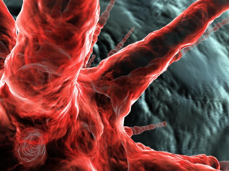 Abstract red cellular structure