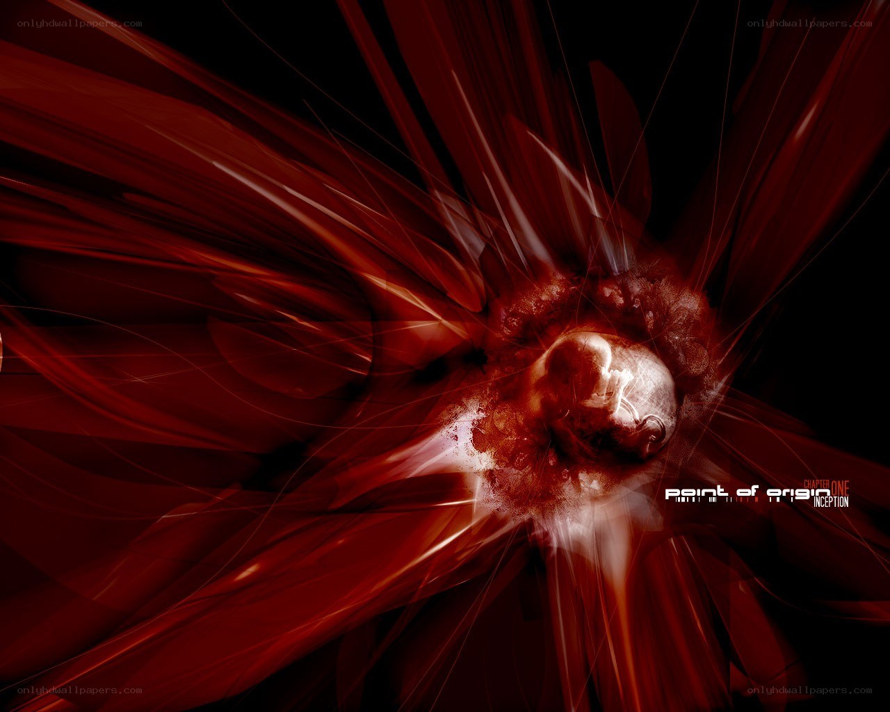 abstract red explosion with fetus