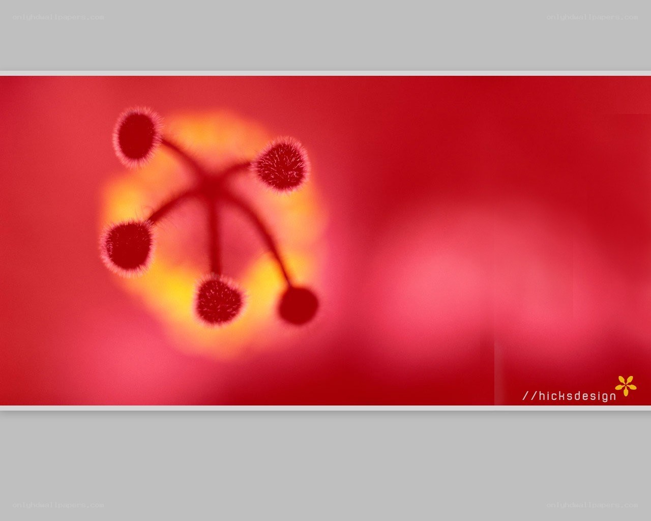 abstract red floral design