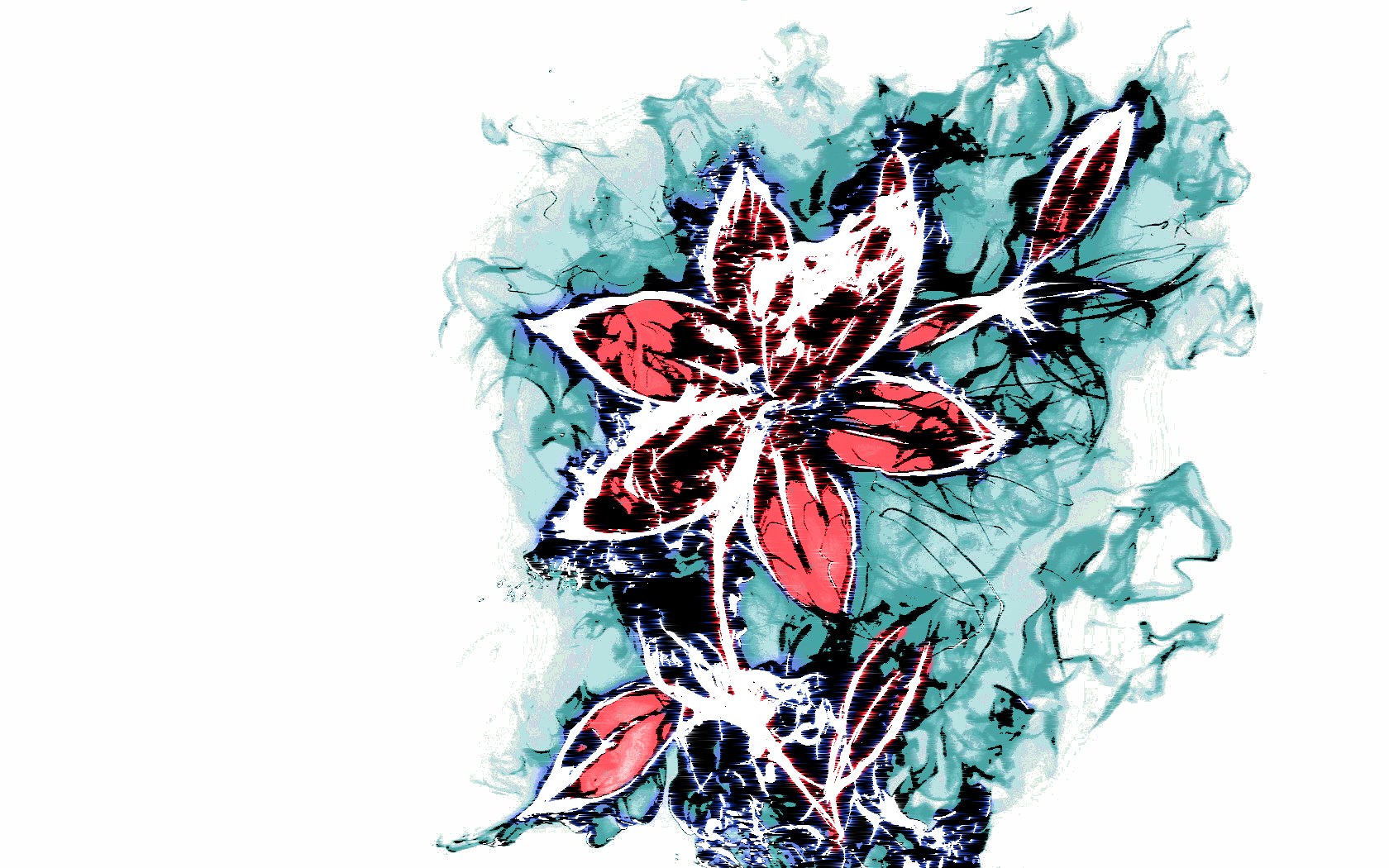 abstract red flower art