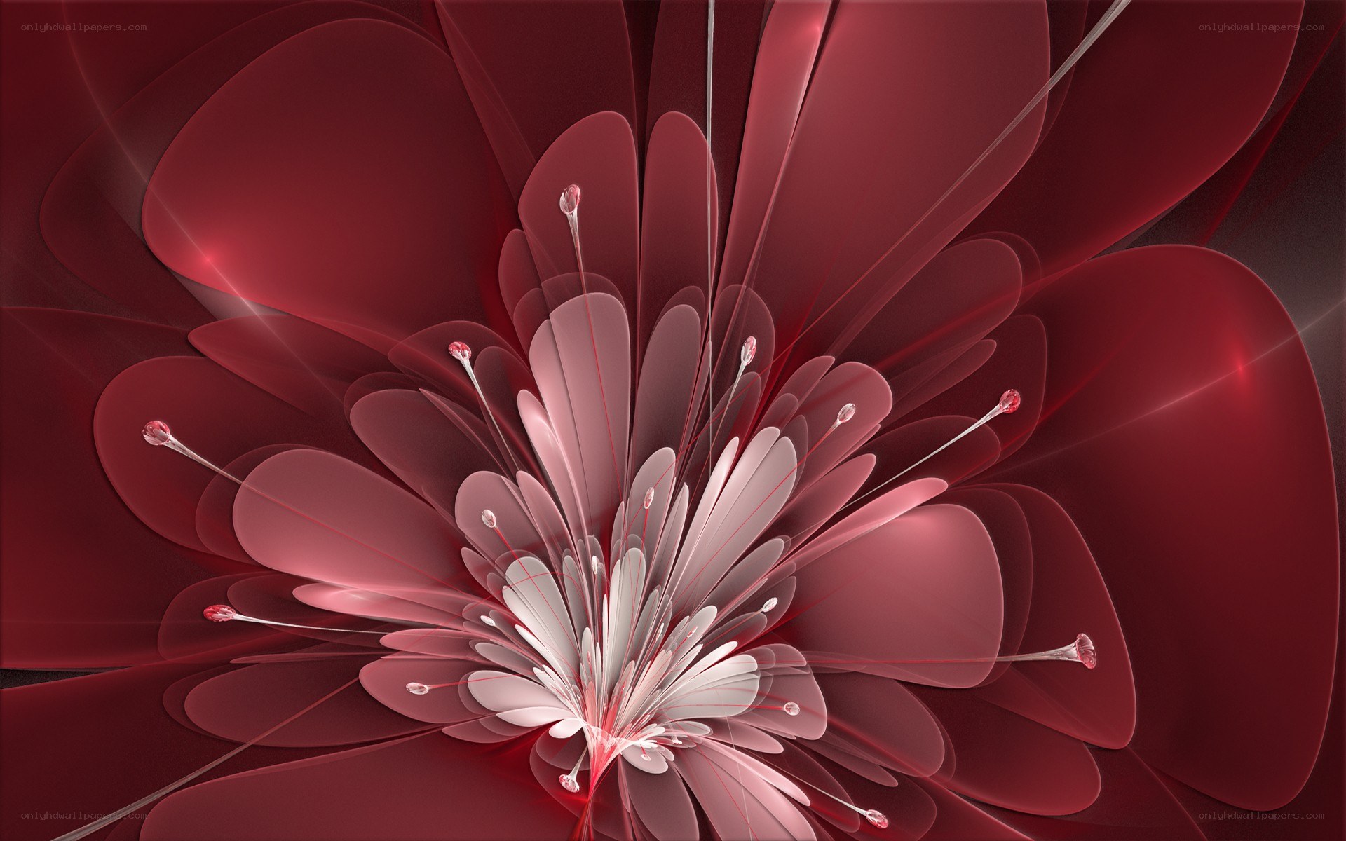 abstract red flower design
