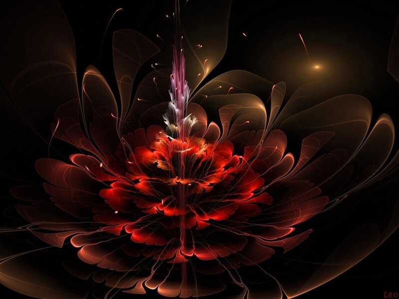 Abstract Red Flower — Dramatic, Digital Art, Petals