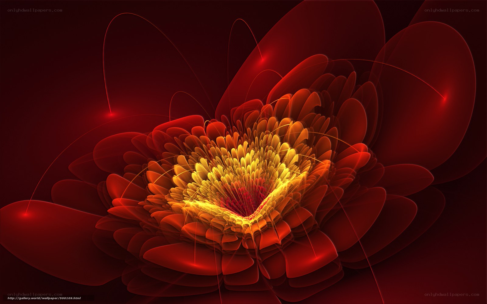 Abstract red flower fractal