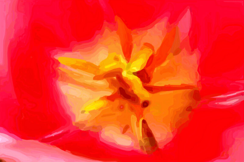 abstract red flower painting