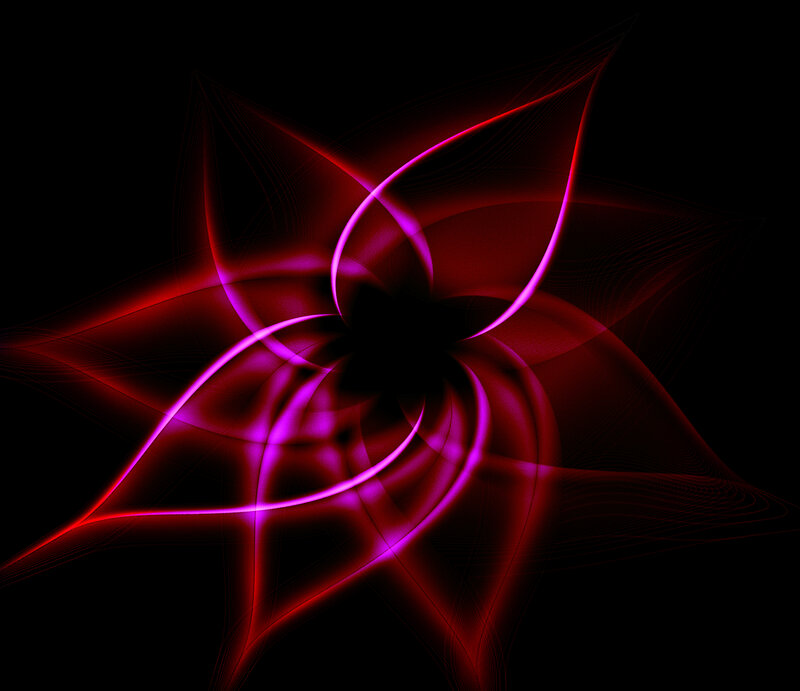 Abstract Red Flower