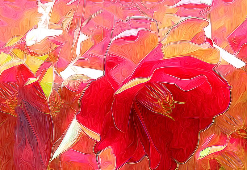 Abstract Red Flower — Vibrant