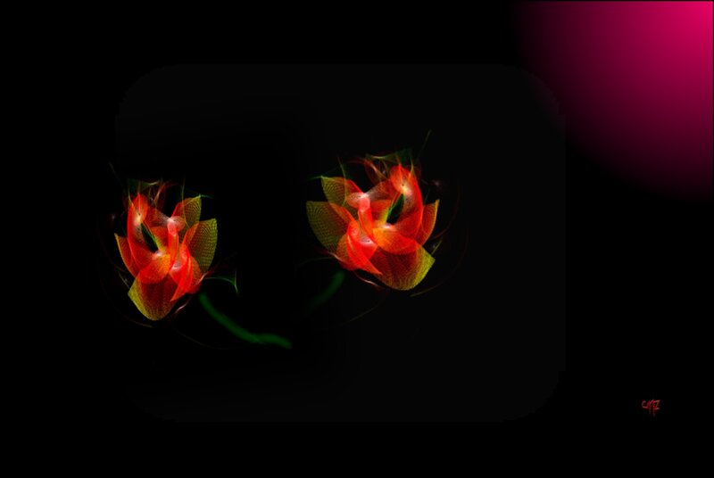 Abstract Red Flowers — Dramatic