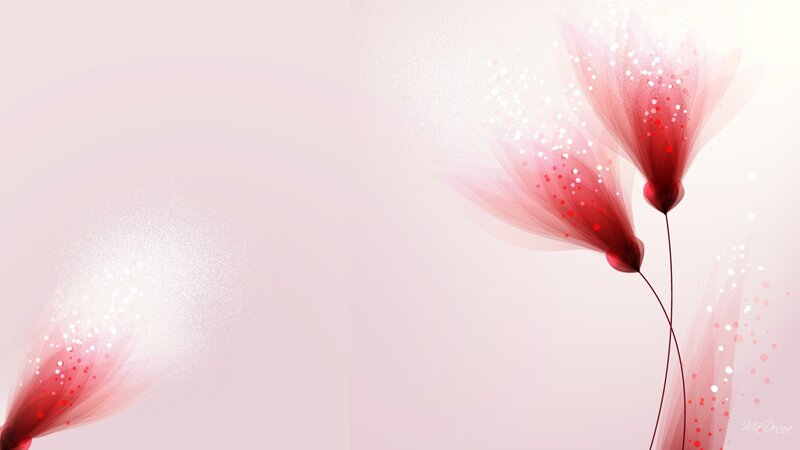 Abstract Red Flowers — Pink