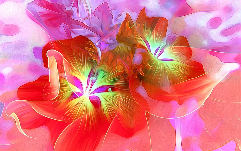 Abstract Red Flowers — Vibrant