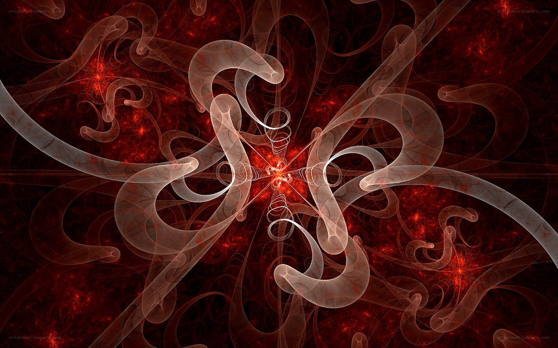 Abstract red fractal design