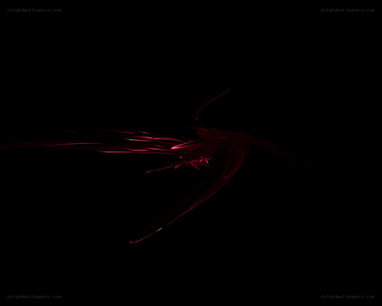 abstract red fractal design