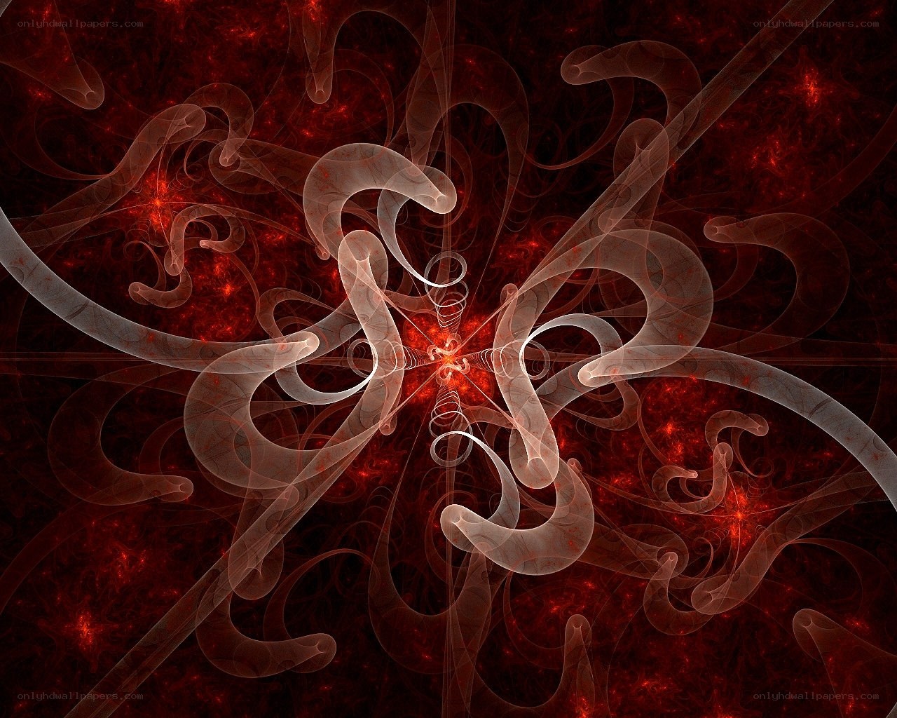 Abstract red fractal design