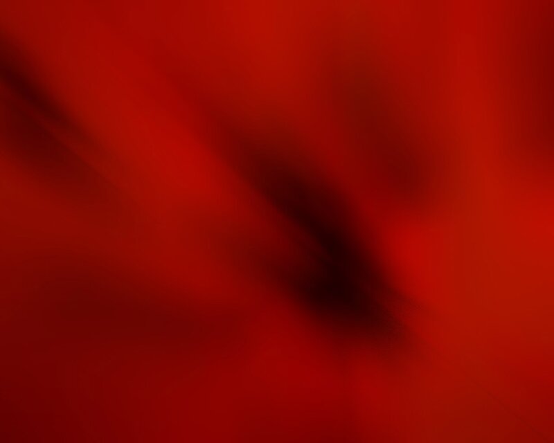 abstract red gradient